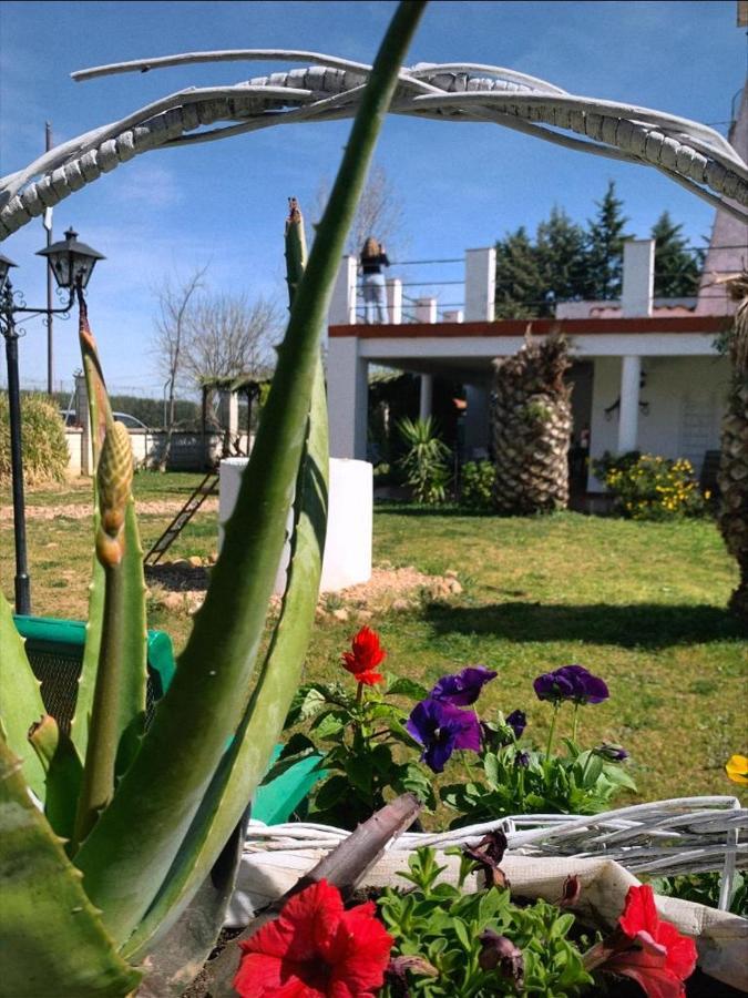 Hotel Rural Villa Torreaguila Badajoz Zewnętrze zdjęcie
